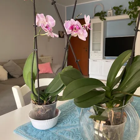 Casa Eleo Apartamento *